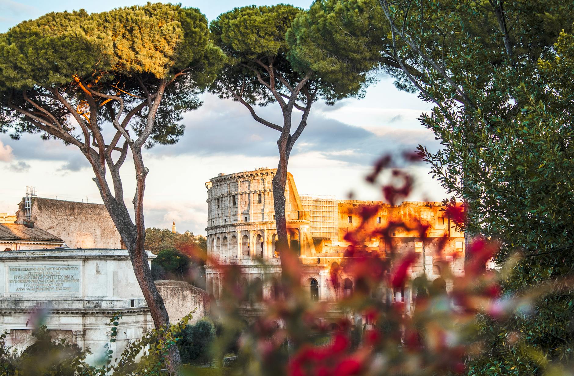 Beautiful view of the Colosseum framed by trees and flowers in Rome, Italy.