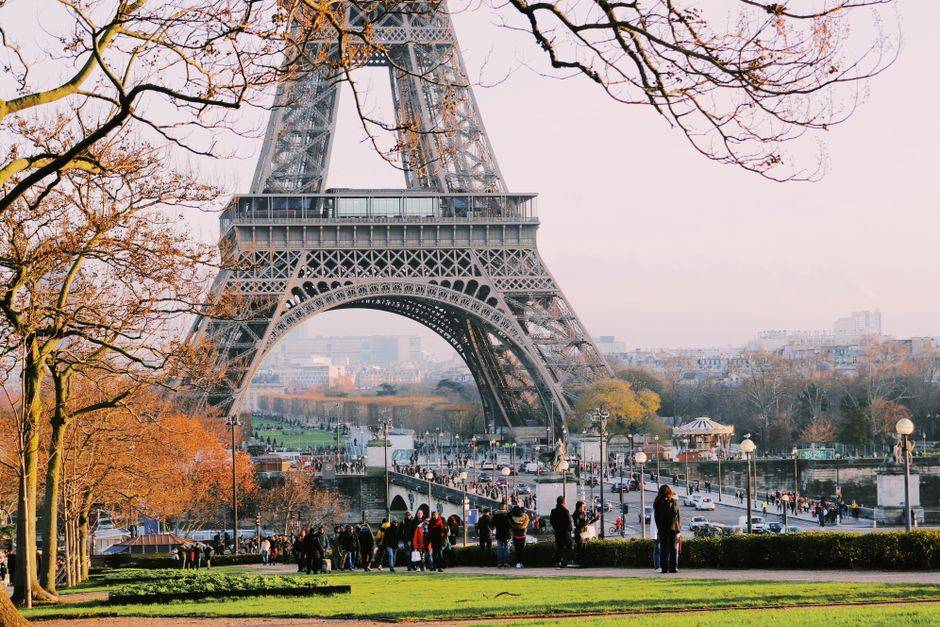 The Eiffel Tower framed by trees