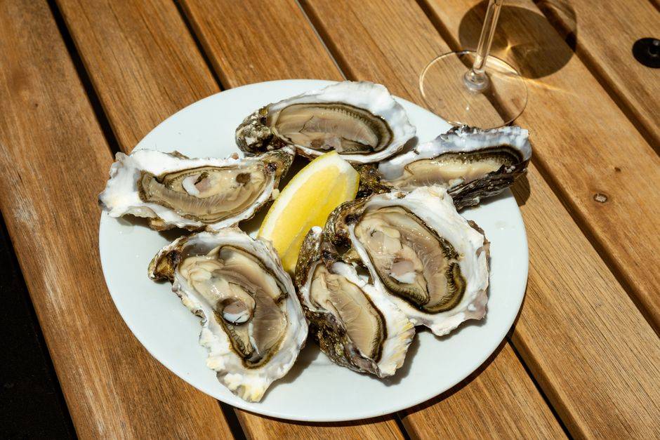 Oysters ready to taste