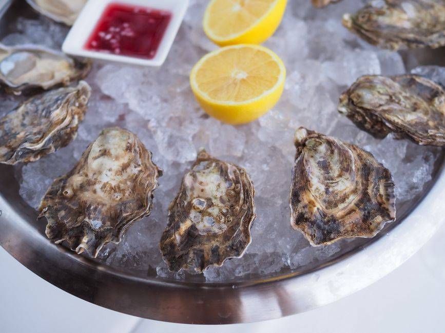 Oysters served on ice