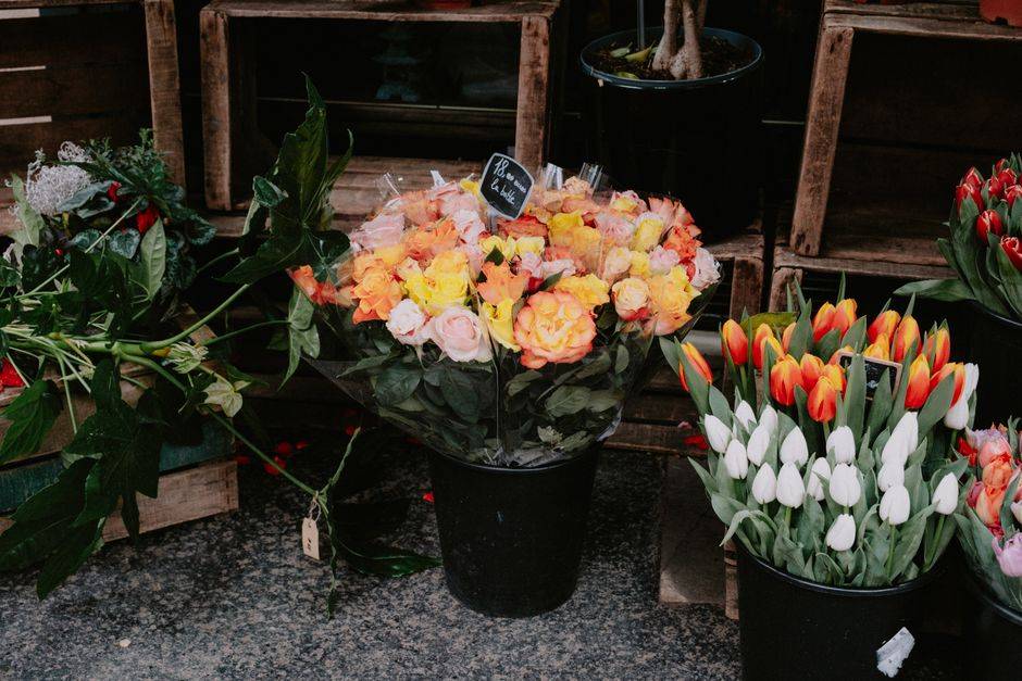 An abundant display of flowers