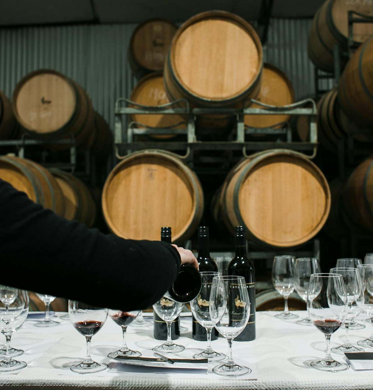 Back view of anonymous sommelier pouring wine from bottle into wineglass while standing at table with glassware in winery against barrels