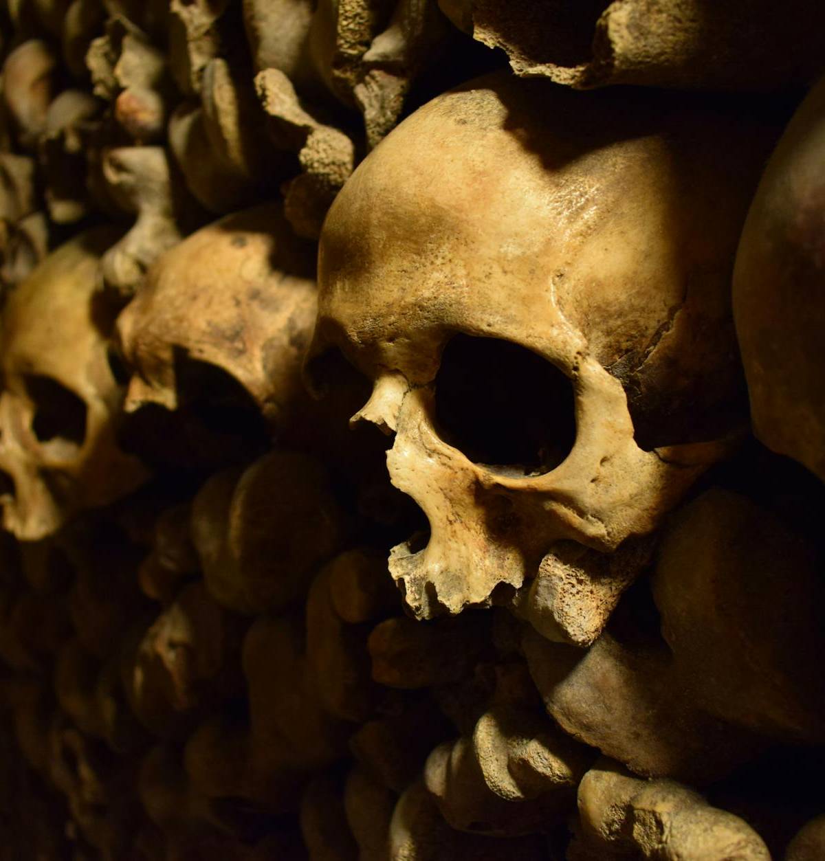 Skulls in the Paris Catacombs ossuary