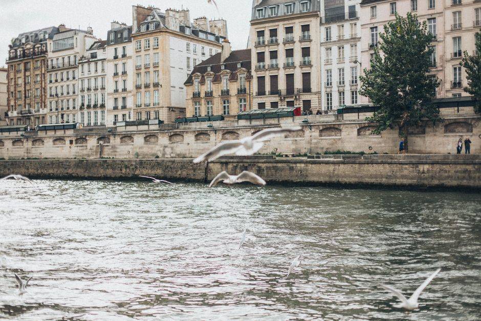Historic buildings along the Seine